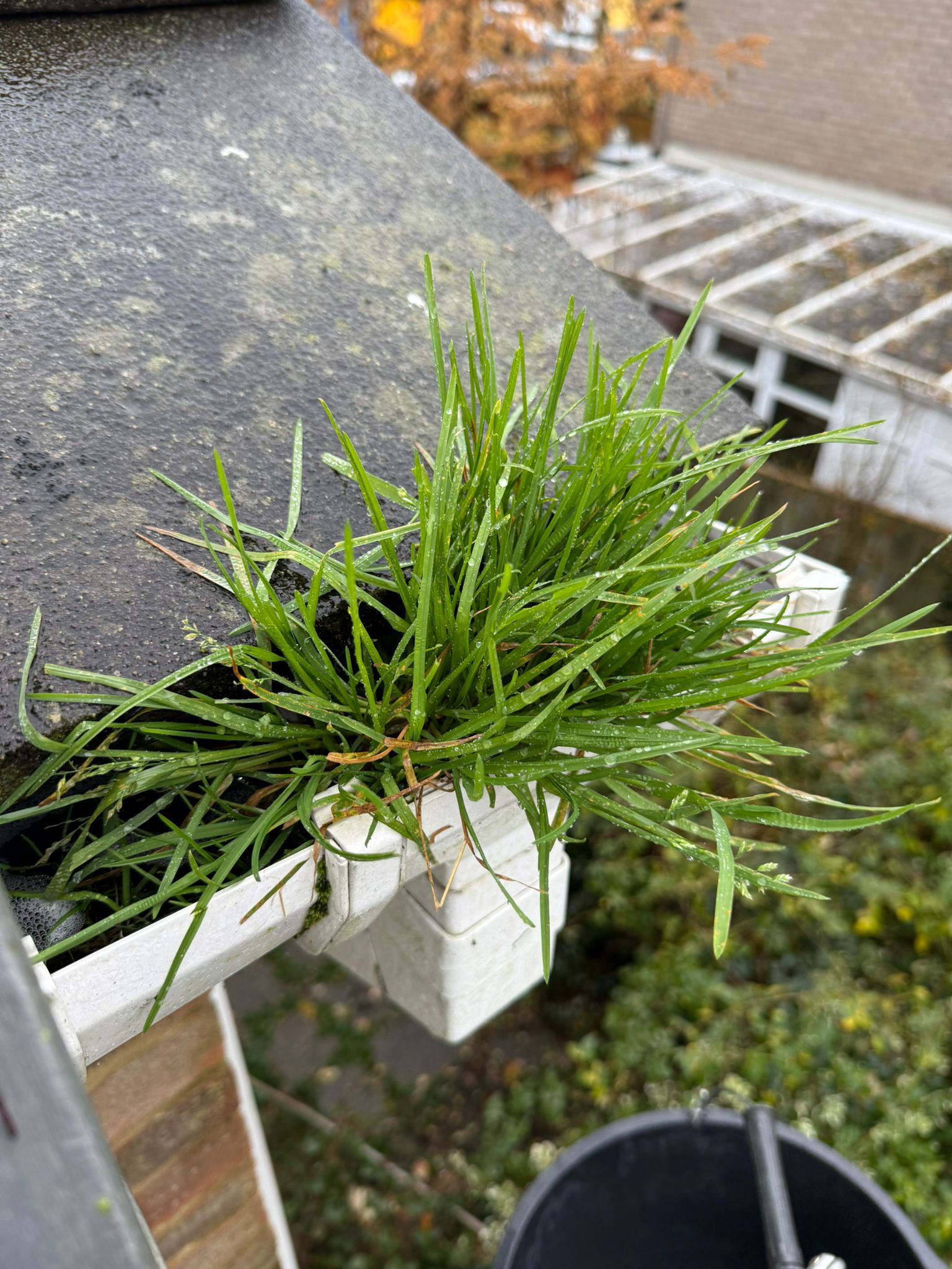 Blocked gutter downpipe in Banstead